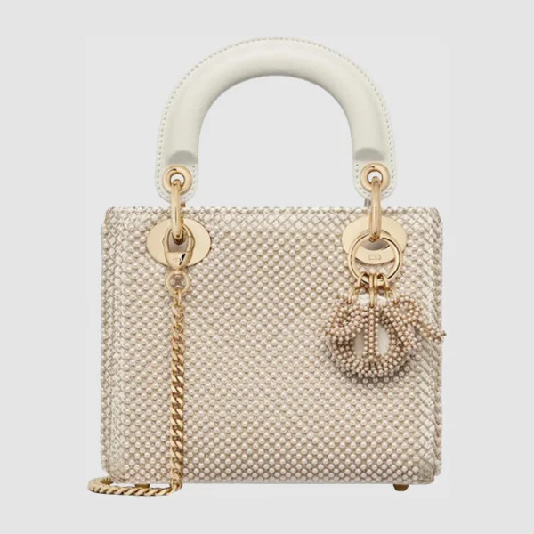 디올 레이디백 미니 M0505